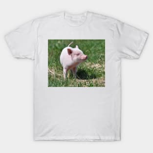 Piggy T-Shirt